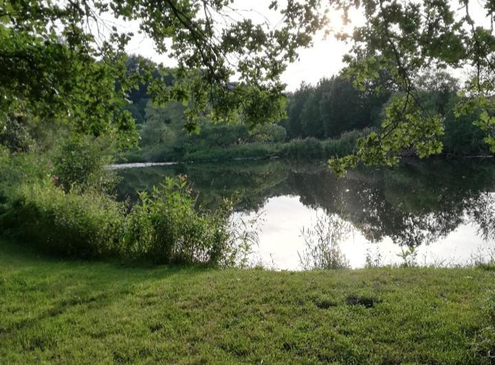 Schulzis Ferienwohnung Windeck Buitenkant foto